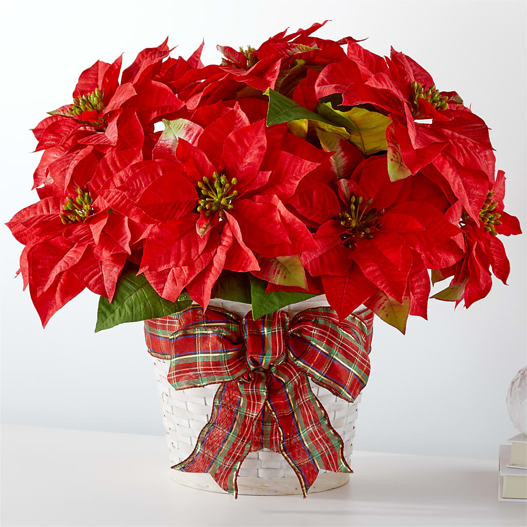 Happiest Holidays Poinsettia – Sanford Floral Marketing, Sanford FL