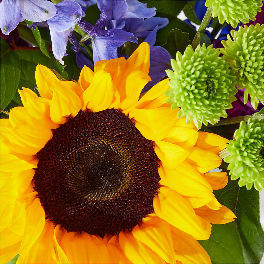 Catching Rays Bouquet – Sanford Floral Marketing, Sanford FL