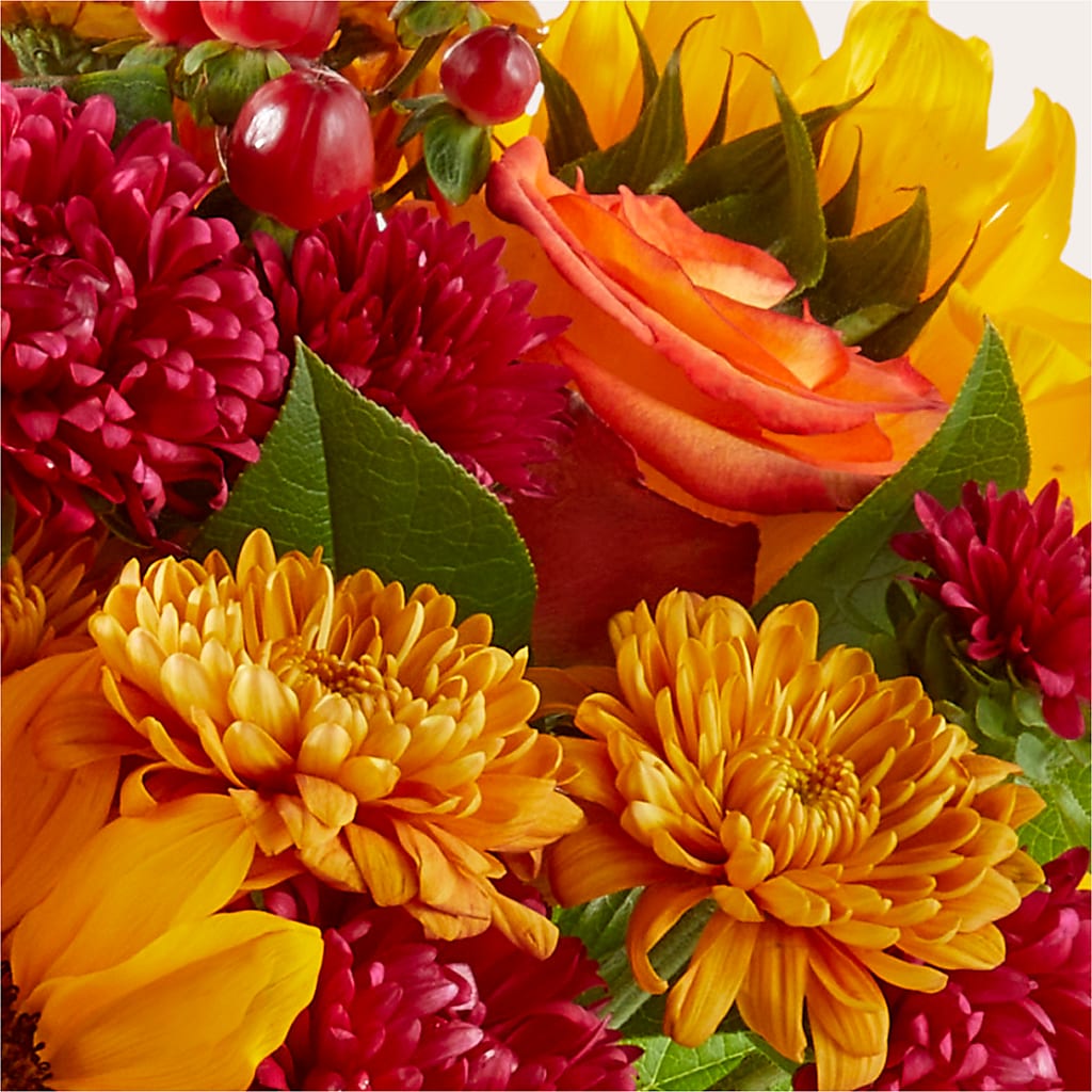 Sweater Season - A Florist Original – Sanford Floral Marketing, Sanford FL