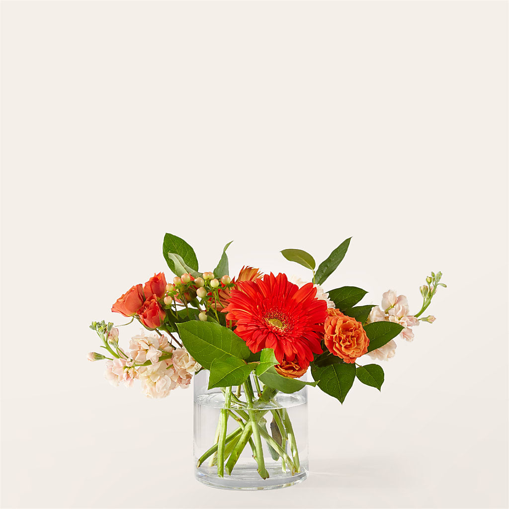 Paloma Please Bouquet – Sanford Floral Marketing, Sanford FL