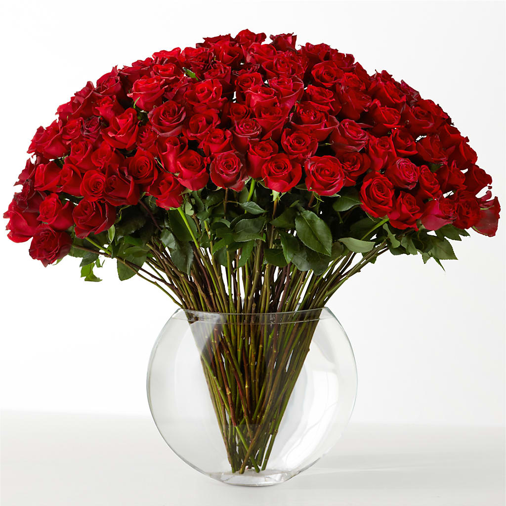 The Idealist – Sanford Floral Marketing, Sanford FL