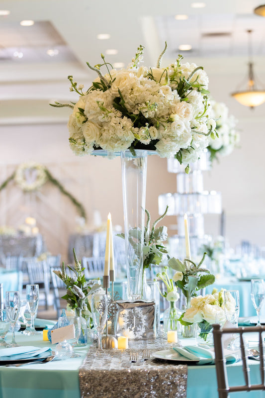 Frozen Winter Wonderland