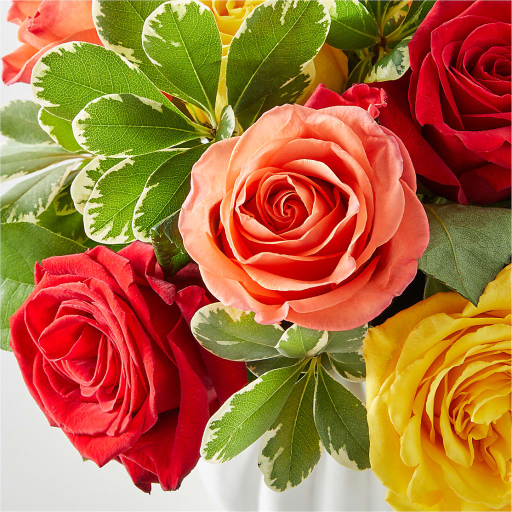 Gourd of Gratitude –  Sanford Floral Marketing, Sanford FL