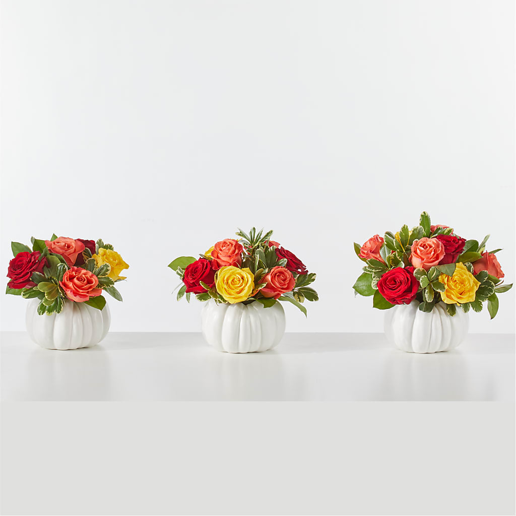 Gourd of Gratitude –  Sanford Floral Marketing, Sanford FL