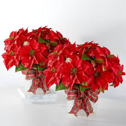 Happiest Holidays Poinsettia Bundle –  Sanford Floral Marketing, Sanford FL