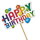 Happy Birthday Pick –  Sanford Floral Marketing, Sanford FL