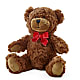 Adorable Plush Bear –  Sanford Floral Marketing, Sanford FL