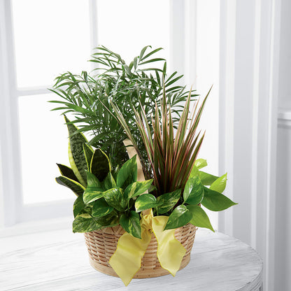 French Garden –  Sanford Floral Marketing, Sanford FL