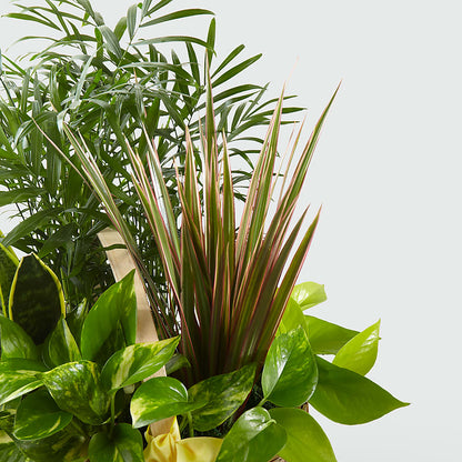 French Garden –  Sanford Floral Marketing, Sanford FL