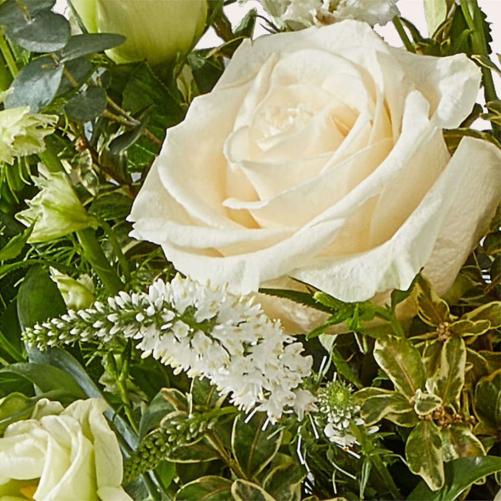 Cashmere Bouquet –  Sanford Floral Marketing, Sanford FL