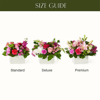 Sweetberry Box – A Florist Original –  Sanford Floral Marketing, Sanford FL