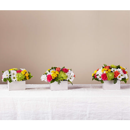 Sorbet Bouquet –  Sanford Floral Marketing, Sanford FL
