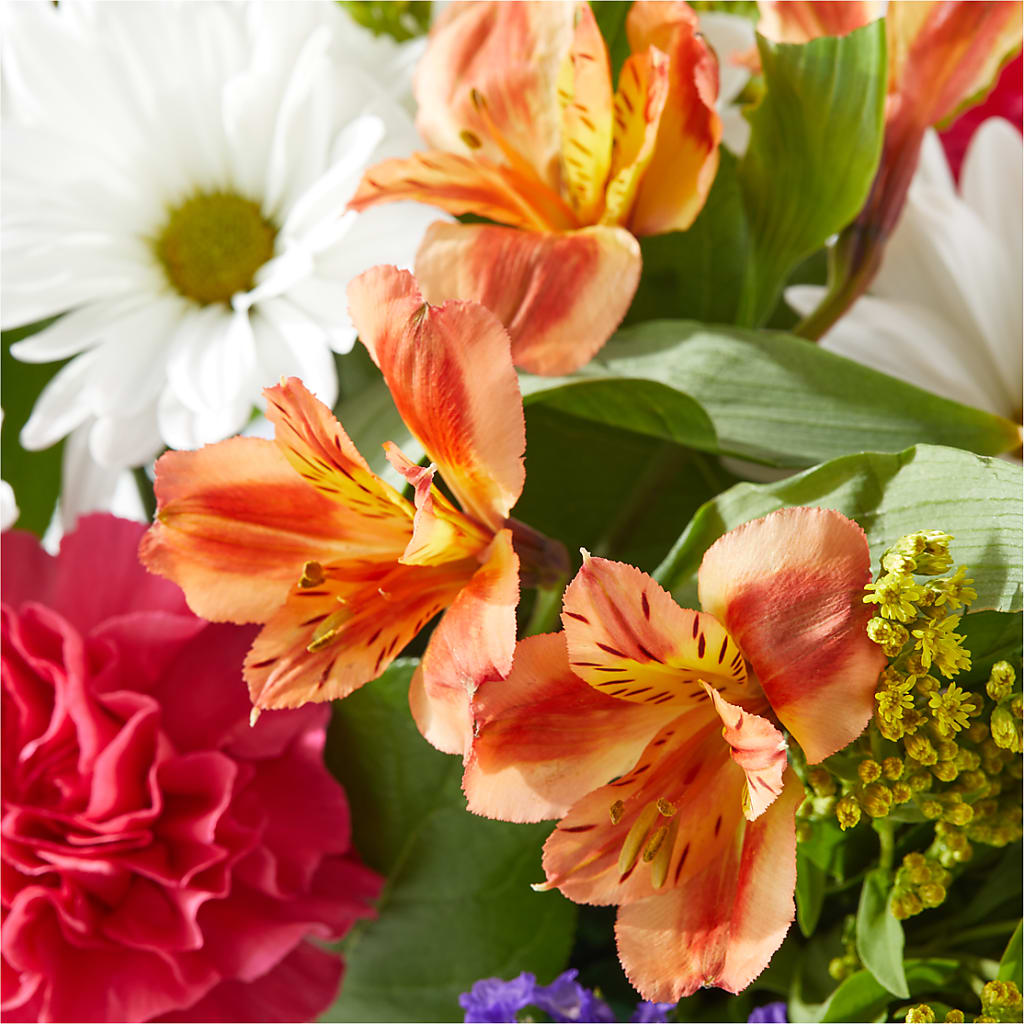 Oopsie Daisy Box Bouquet –  Sanford Floral Marketing, Sanford FL