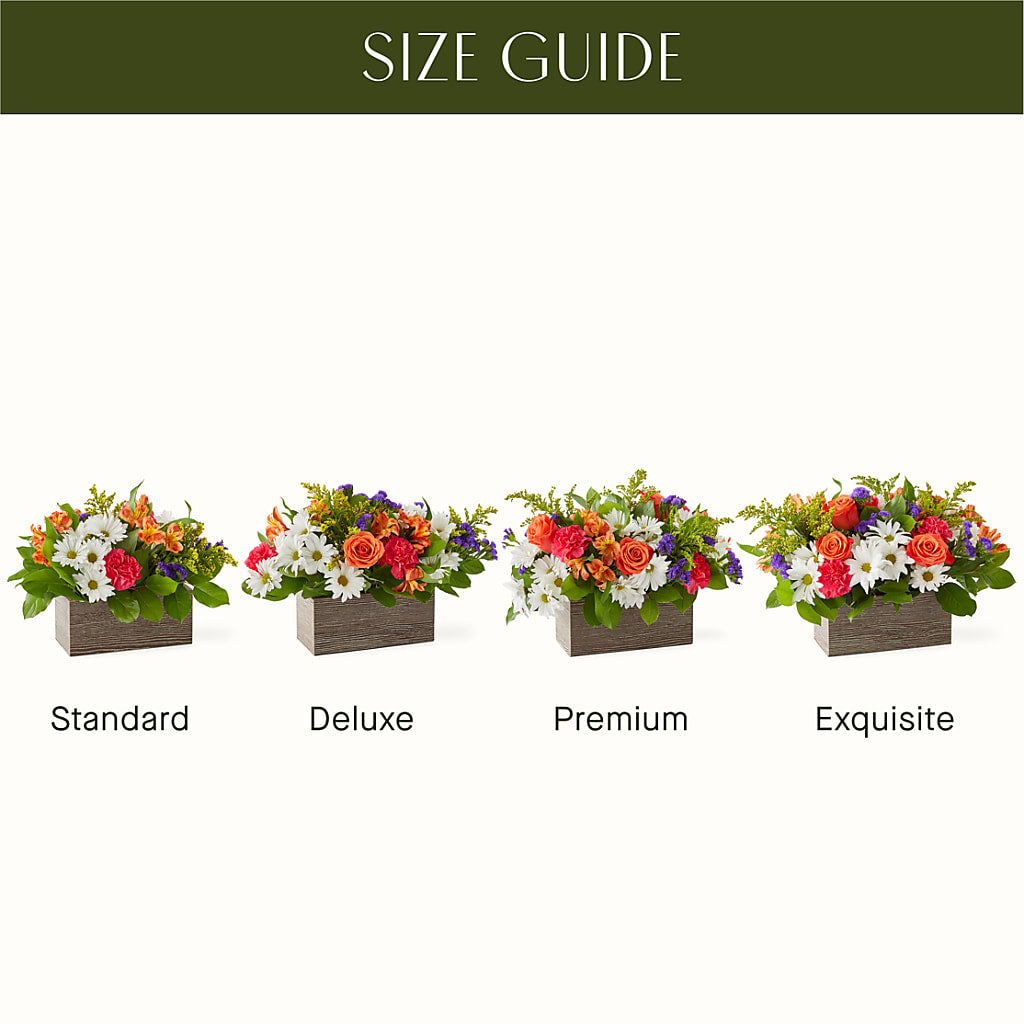 Oopsie Daisy Box Bouquet –  Sanford Floral Marketing, Sanford FL