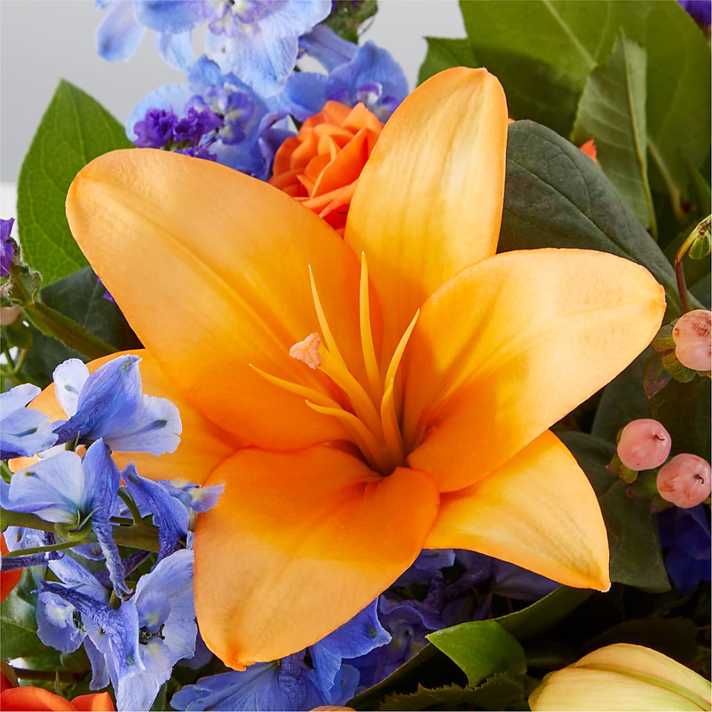 Radiant Citrus Box Bouquet –  Sanford Floral Marketing, Sanford FL