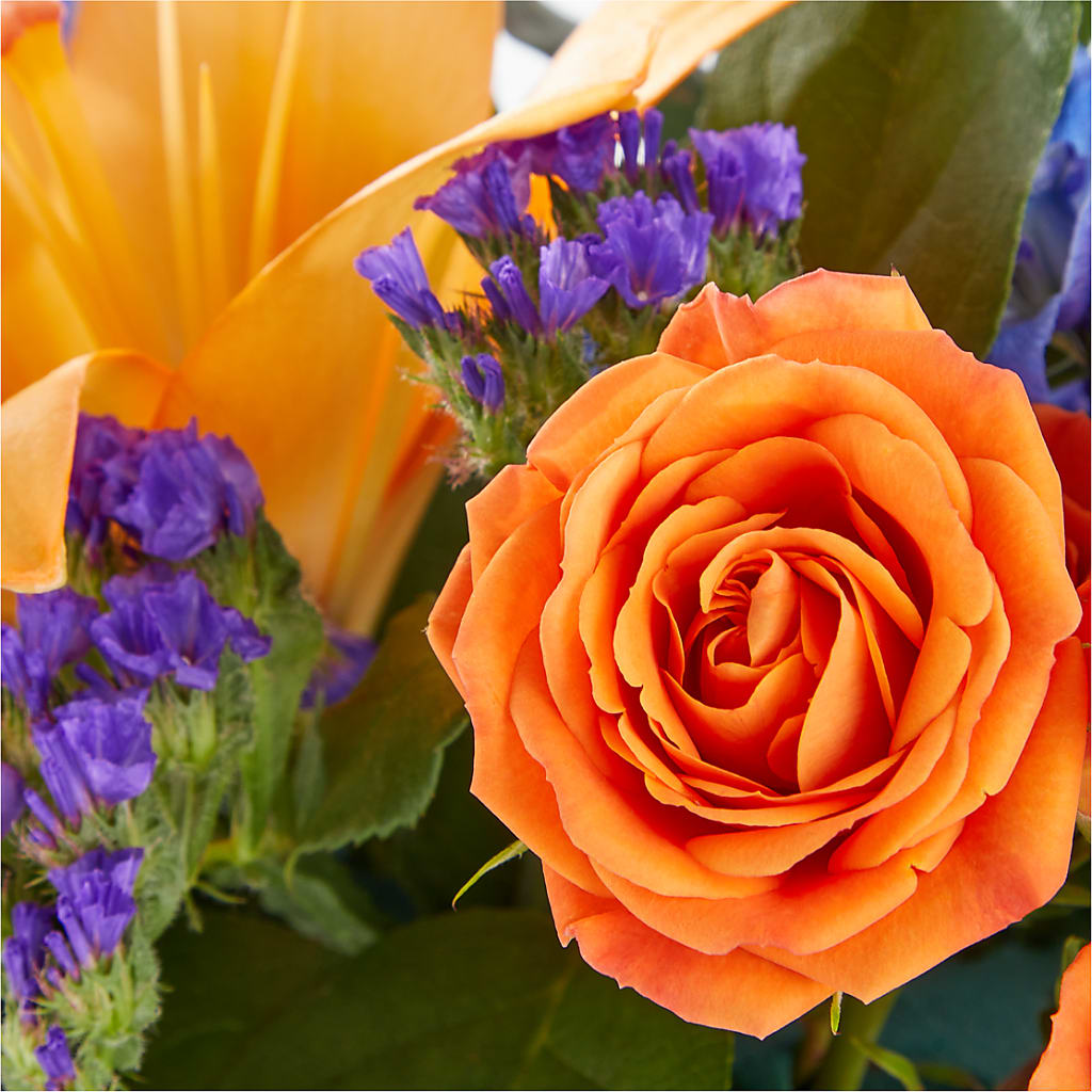 Radiant Citrus Box Bouquet –  Sanford Floral Marketing, Sanford FL