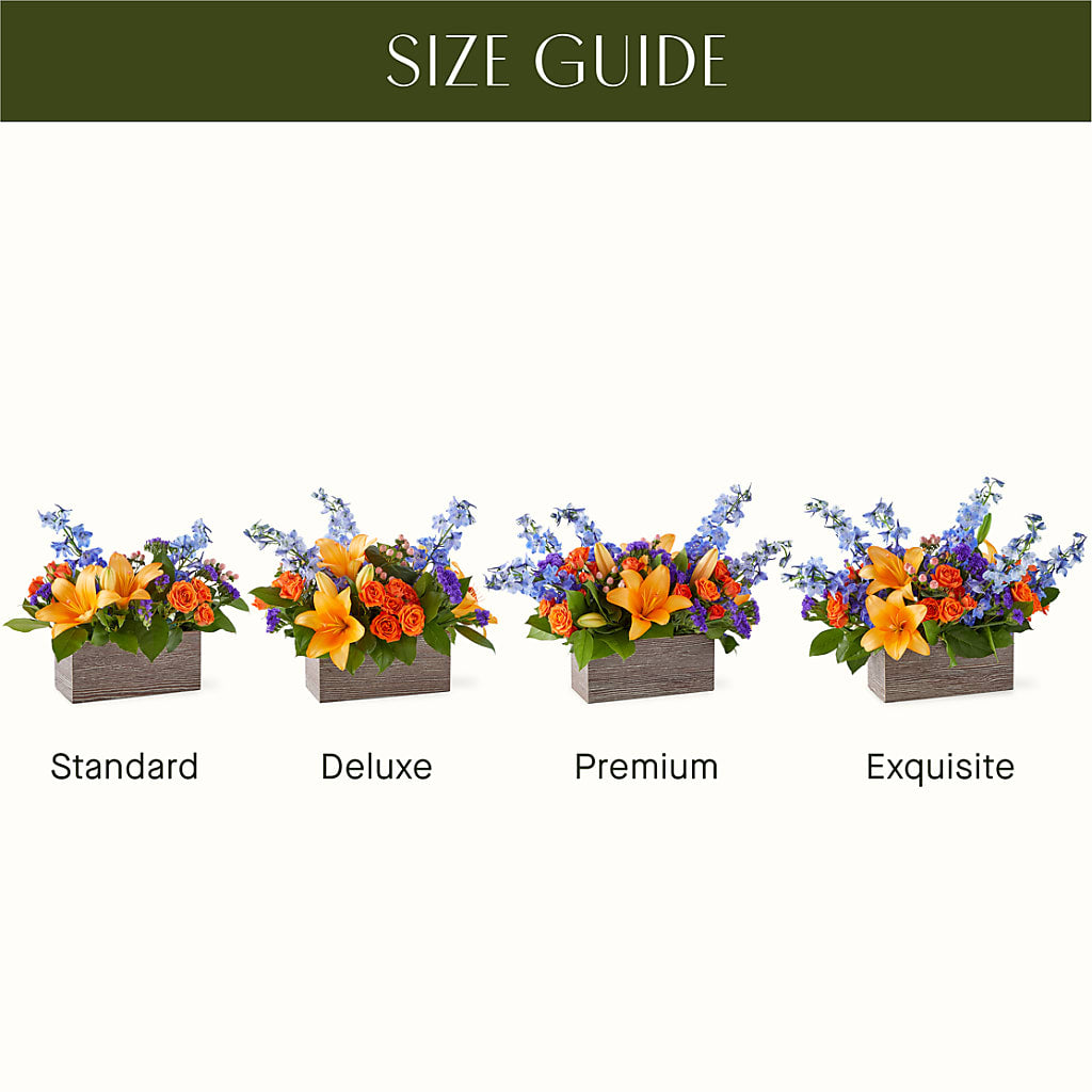 Radiant Citrus Box Bouquet –  Sanford Floral Marketing, Sanford FL