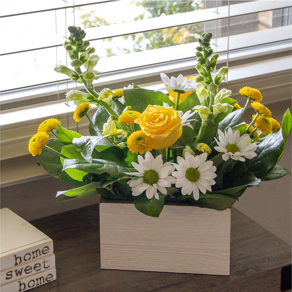 Sun Salutation Box Bouquet –  Sanford Floral Marketing, Sanford FL