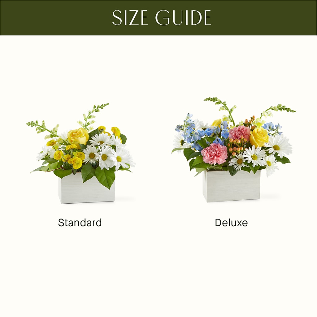 Sun Salutation Box Bouquet –  Sanford Floral Marketing, Sanford FL