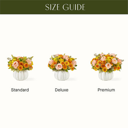 Peachy Pumpkin –  Sanford Floral Marketing, Sanford FL