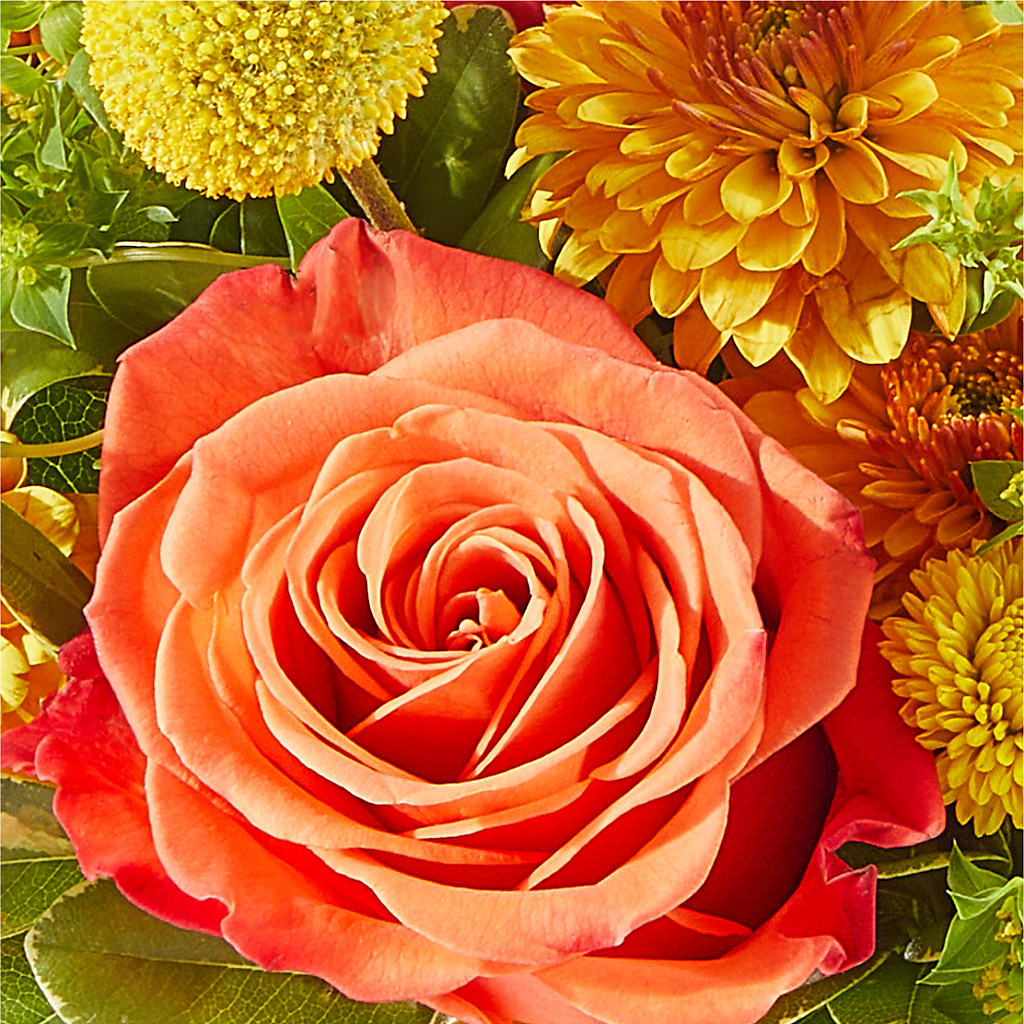 Gourdgeous Pumpkin –  Sanford Floral Marketing, Sanford FL