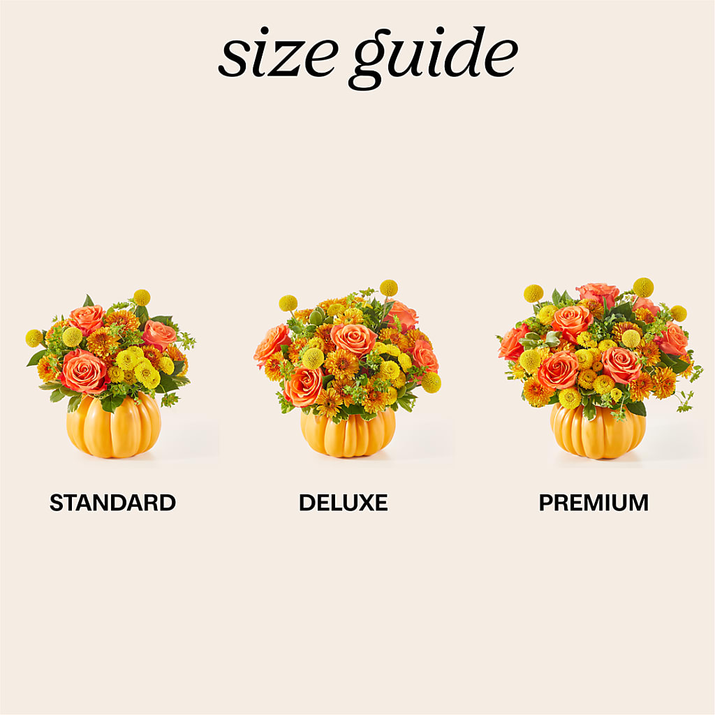Gourdgeous Pumpkin –  Sanford Floral Marketing, Sanford FL
