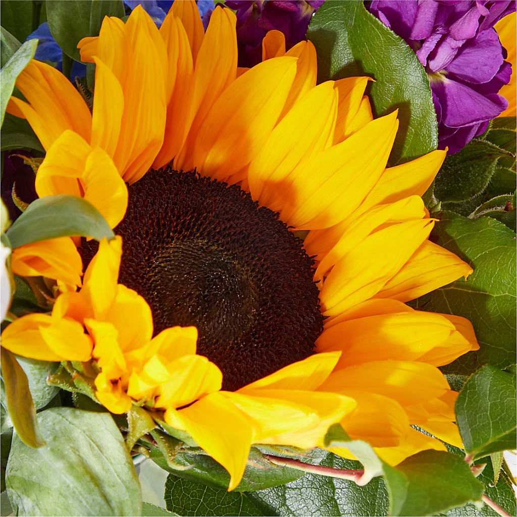 Catching Rays Bouquet –  Sanford Floral Marketing, Sanford FL