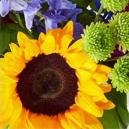 Catching Rays Bouquet –  Sanford Floral Marketing, Sanford FL