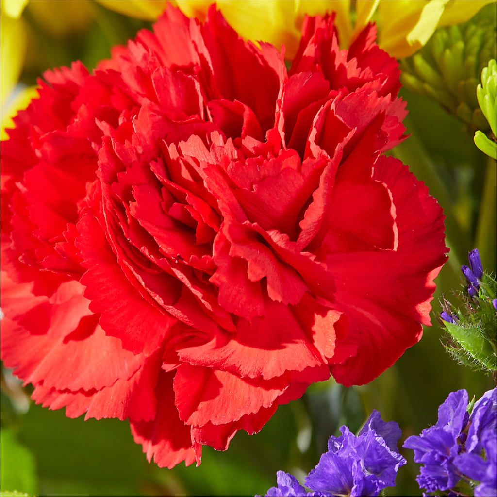 Brighter Days Bouquet –  Sanford Floral Marketing, Sanford FL