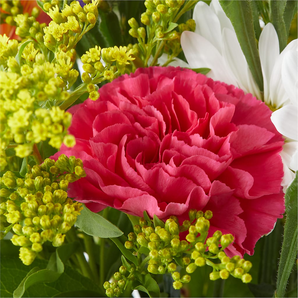 Oopsie Daisy Bouquet –  Sanford Floral Marketing, Sanford FL