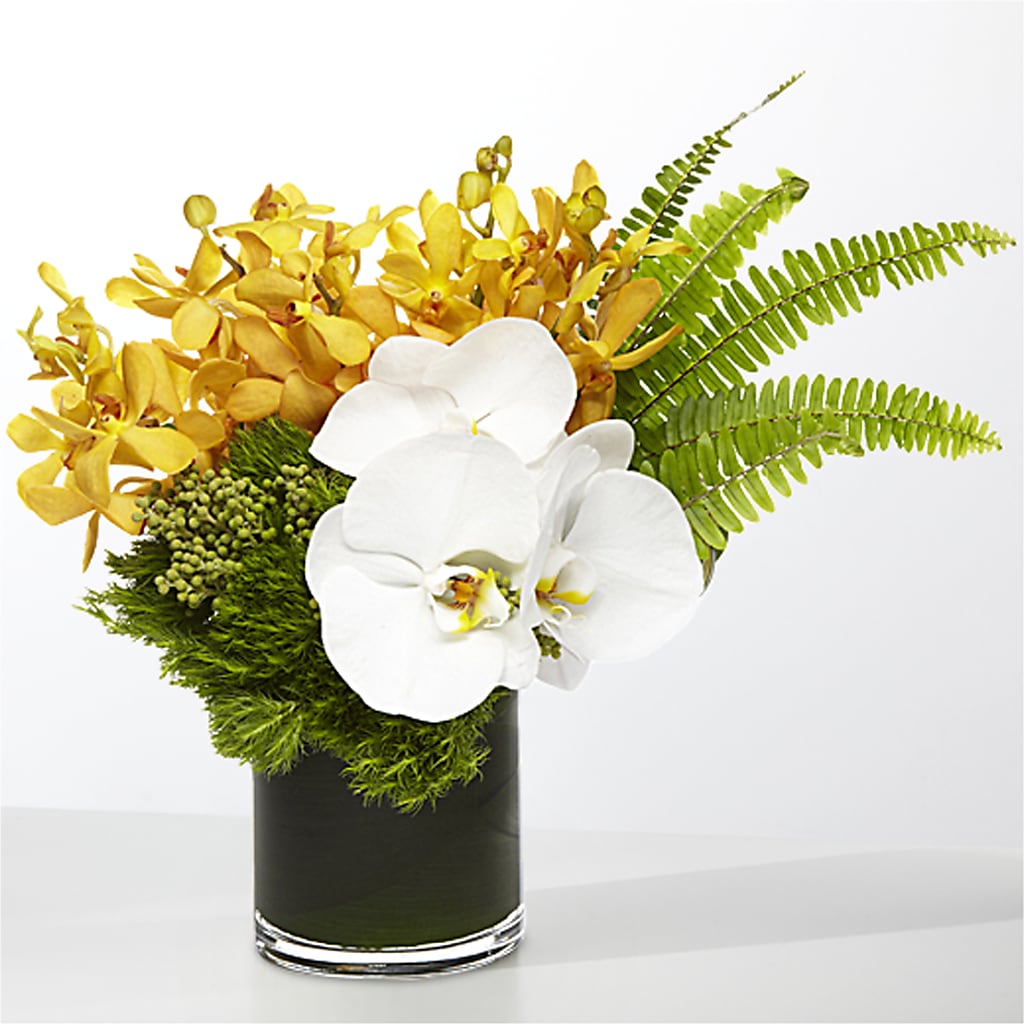 The Tropics –  Sanford Floral Marketing, Sanford FL