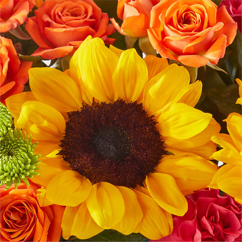 Sun-drenched Blooms Box Bouquet –  Sanford Floral Marketing, Sanford FL