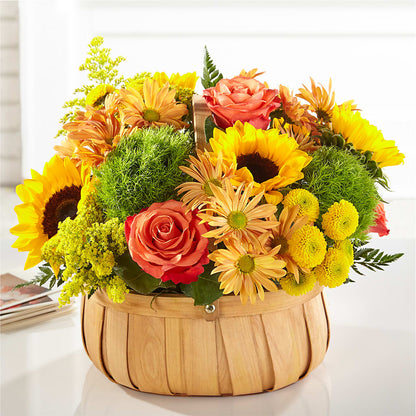 Harvest Sunflower Basket –  Sanford Floral Marketing, Sanford FL