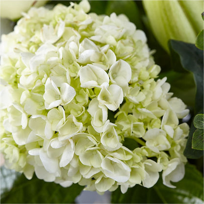 Classic Ivory – A Florist Original –  Sanford Floral Marketing, Sanford FL