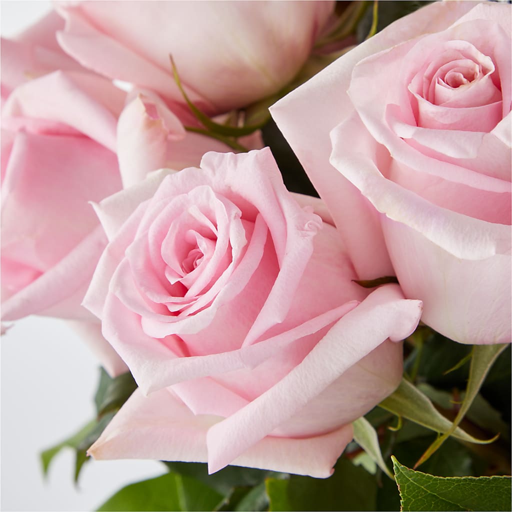 Picture Perfect Pink Rose Bouquet –  Sanford Floral Marketing, Sanford FL