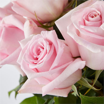 Picture Perfect Pink Rose Bouquet –  Sanford Floral Marketing, Sanford FL