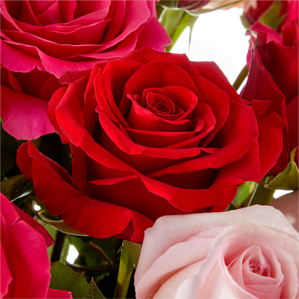 Love Notes Rose Bouquet –  Sanford Floral Marketing, Sanford FL