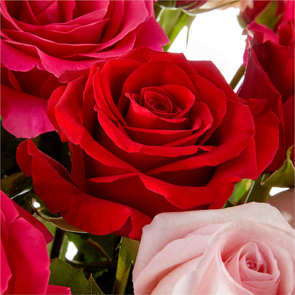 Love Notes Rose Bouquet –  Sanford Floral Marketing, Sanford FL