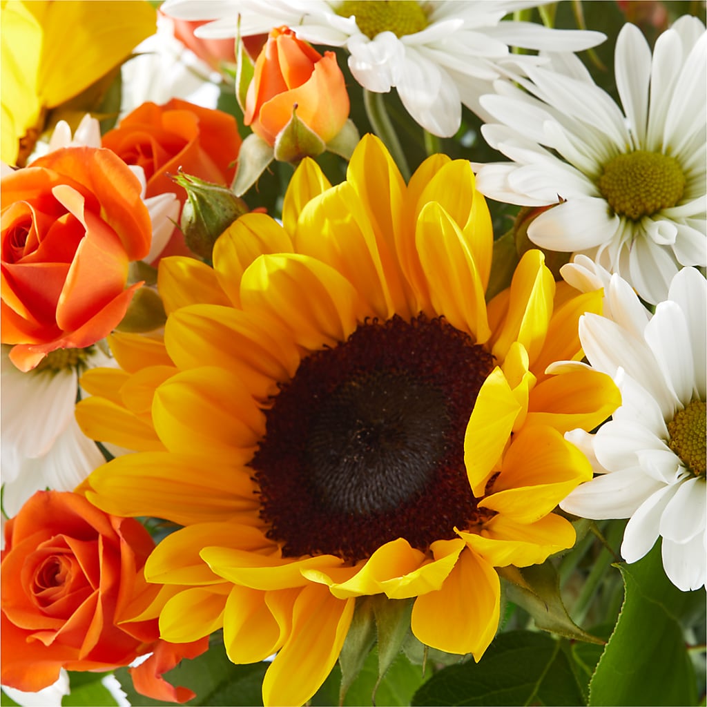 Sun-drenched Blooms Bouquet –  Sanford Floral Marketing, Sanford FL
