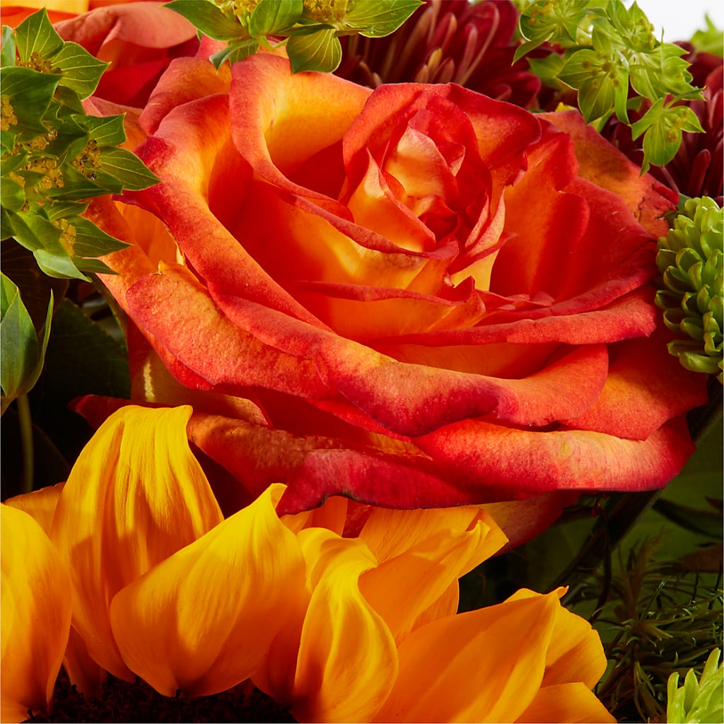 Harvest Festival Bouquet –  Sanford Floral Marketing, Sanford FL