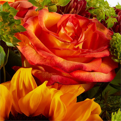 Harvest Festival Bouquet –  Sanford Floral Marketing, Sanford FL