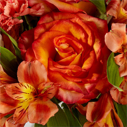 Apricot Glow Bouquet –  Sanford Floral Marketing, Sanford FL