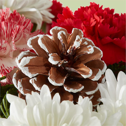Candy Cane Lane Bouquet –  Sanford Floral Marketing, Sanford FL