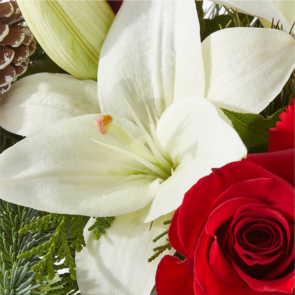 Oh So Jolly Bouquet –  Sanford Floral Marketing, Sanford FL