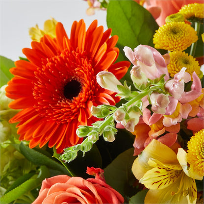 Autumn Sunshine Bouquet –  Sanford Floral Marketing, Sanford FL