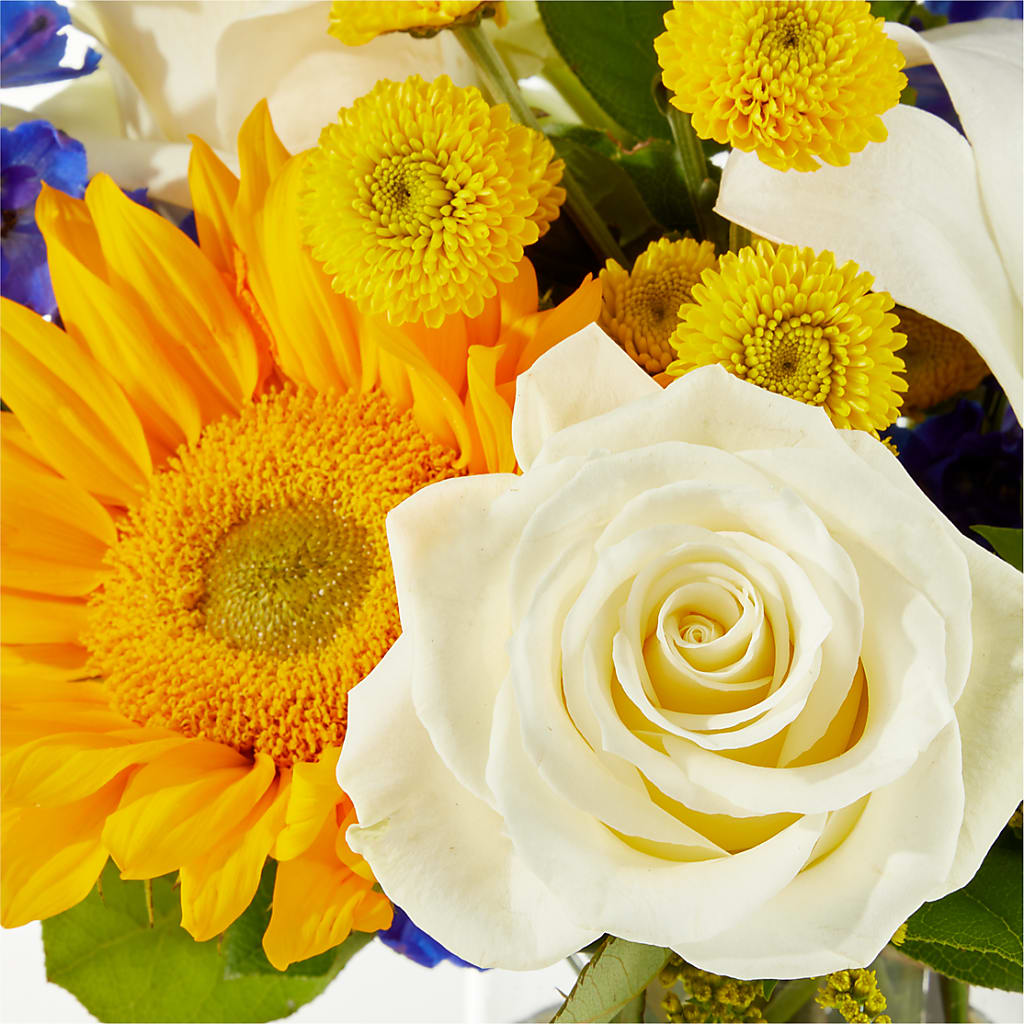 Stargazing Bouquet –  Sanford Floral Marketing, Sanford FL