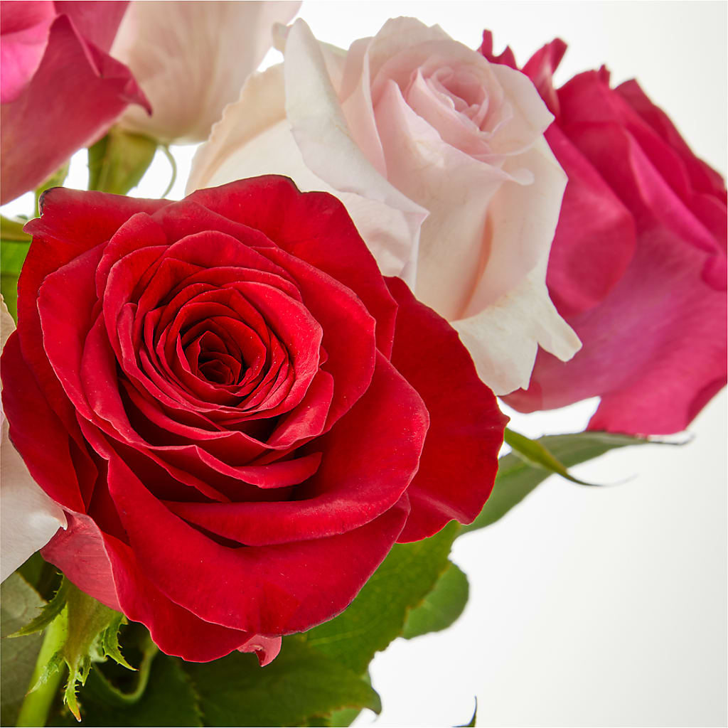 Charming Rose Bouquet –  Sanford Floral Marketing, Sanford FL
