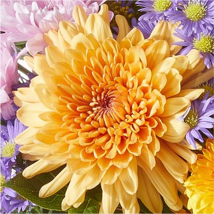 Countryside Bouquet –  Sanford Floral Marketing, Sanford FL