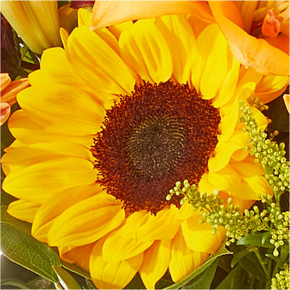 Seasons Change Bouquet –  Sanford Floral Marketing, Sanford FL