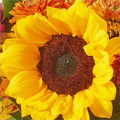 Sunny Side Bouquet –  Sanford Floral Marketing, Sanford FL